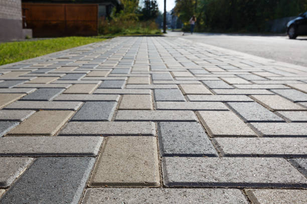 Best Driveway Pavers Cost  in Canadian Lakes, MI