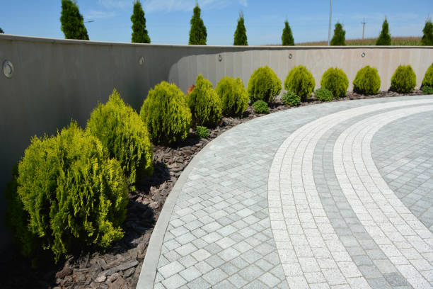 Best Driveway Pavers Near Me  in Canadian Lakes, MI
